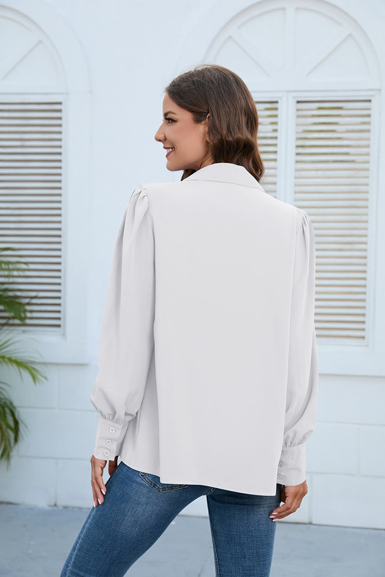 Casual Chiffon Long Sleeves Blouses for Women