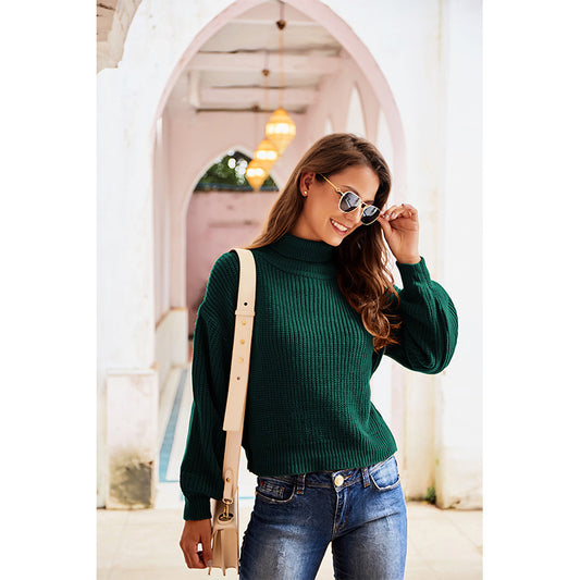 Casual High Neck Knitted Long Sleeves Sweaters