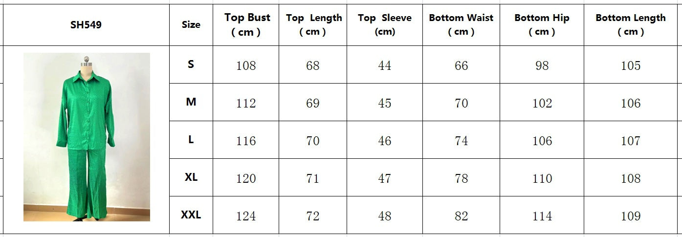 Casual Women Turnover Collar Long Sleeves Shirts and Pants