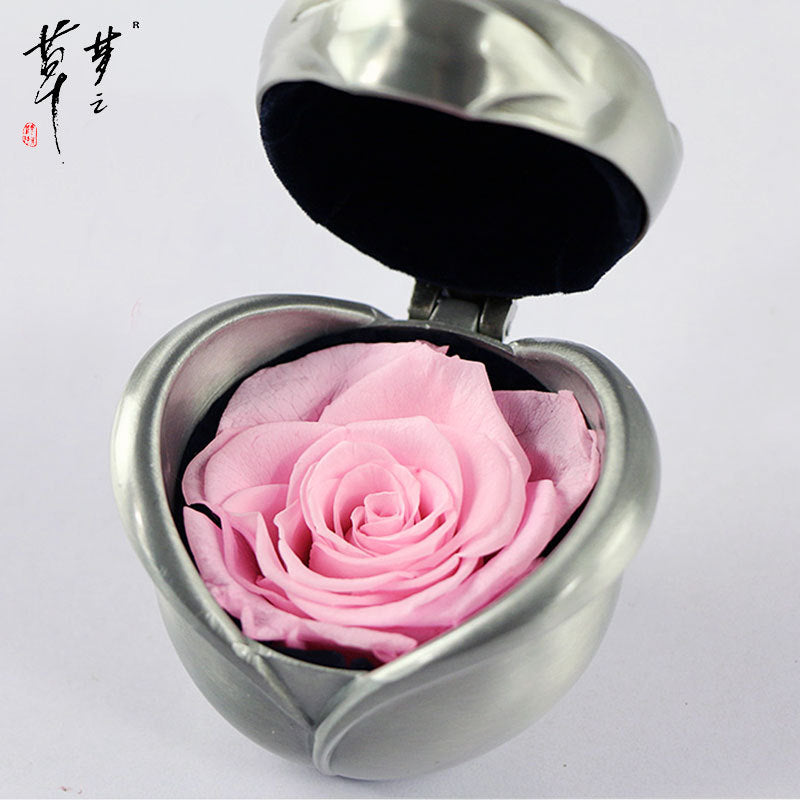 Preserved Rose Flowers for Valentine's Gifts