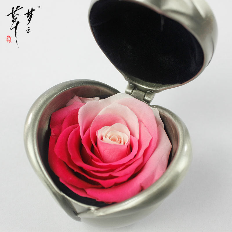 Preserved Rose Flowers for Valentine's Gifts