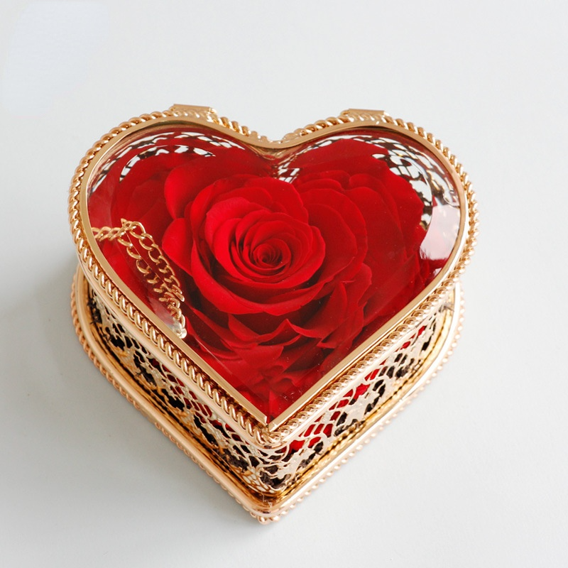Preserved Forever Flowers Red Rose for Valentine's Day Gifts