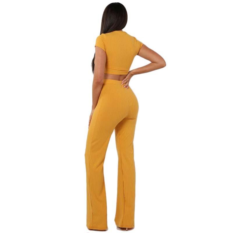 Leisure Elastic Two Pieces Women Outfits-STYLEGOING